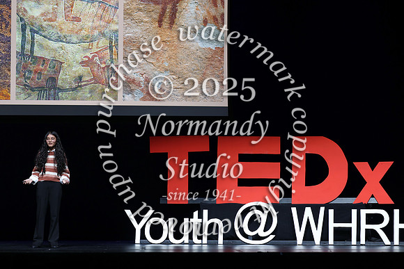 WTG_TEDx_054