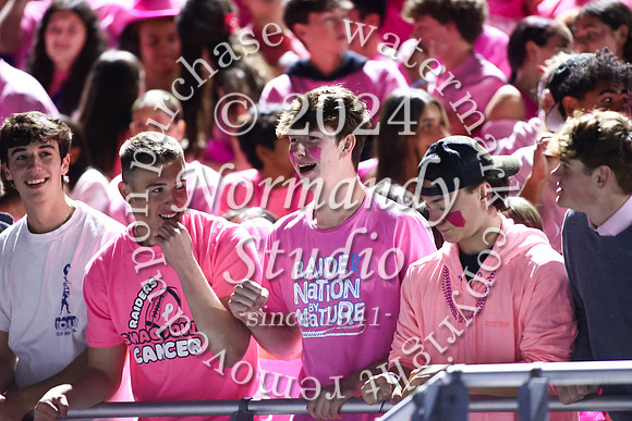 SPF_fans_30