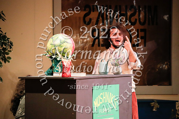 BER_63_little shop of horrors