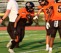 SVL_fb_16