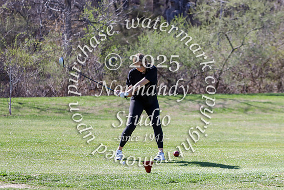 WMC_go-g_36