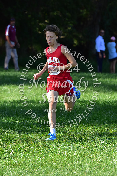 MNP_cc-g+b-j_09