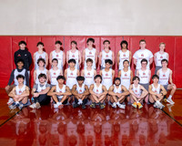BER_tr-b-t_01