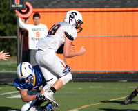 SVL_19_fb-j
