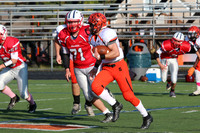 SVL_fb-j_017