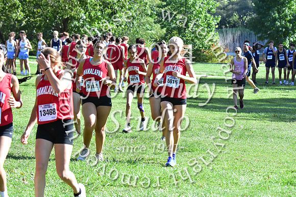 MNP_cc-g+b-j_03