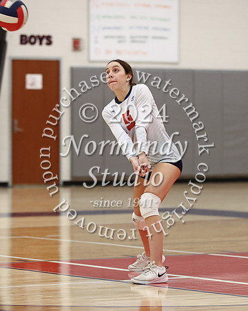 LIB_vb-g_37
