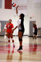 LIB_vb-g_02