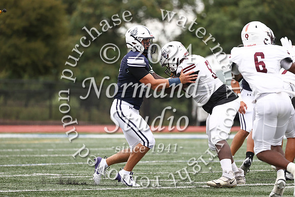 SHP_fb_43