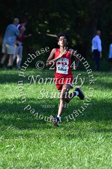 MNP_cc-g+b-j_12