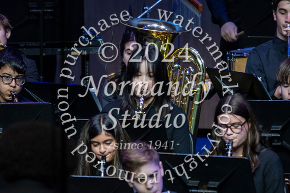 WTG_concert_24