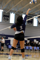 IMC_vb-g_15