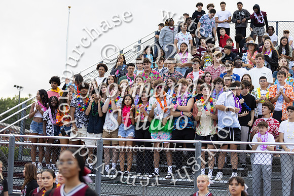 MAT_fans_10