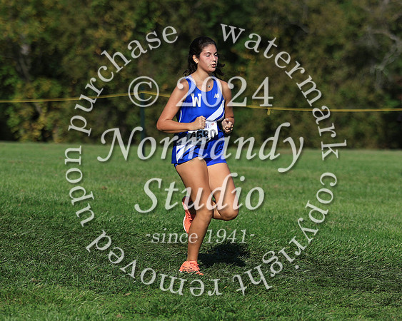 WHS_cc-g_46