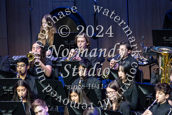 WTG_concert_54