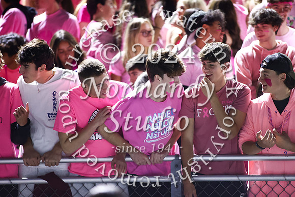 SPF_fans_46