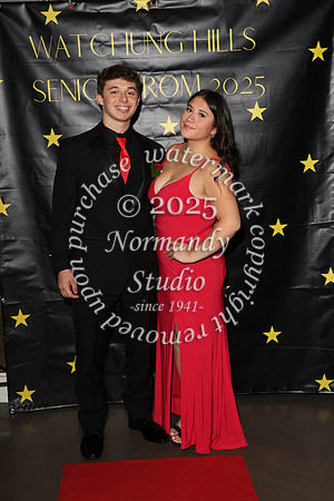 WTG_sr_prom_050