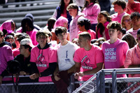 SPF_fans_08