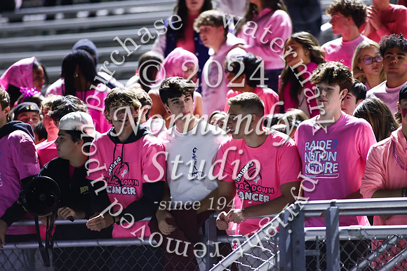 SPF_fans_08