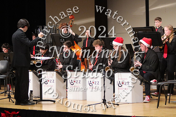 BER_orchestra_61
