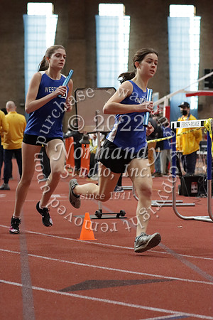 WHS_59_wt-g