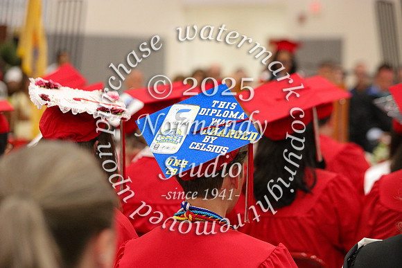 LIB_candids_33