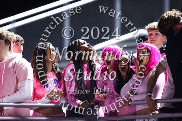 SPF_fans_35
