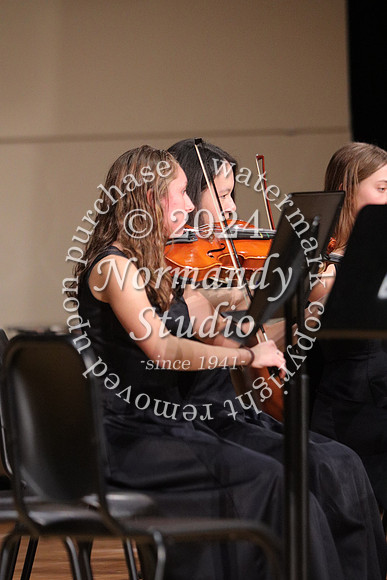 BER_orchestra_34