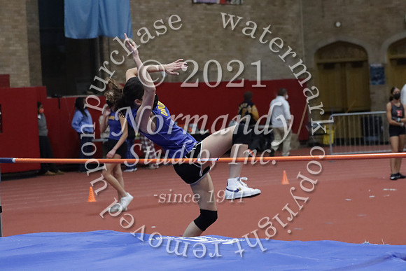 CHS_03_wt-g
