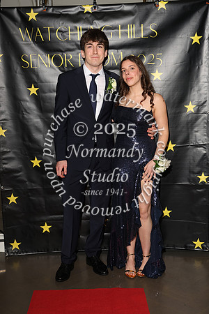 WTG_sr_prom_052
