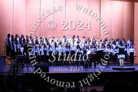 WTG_concert_27