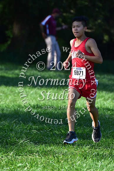 MNP_cc-g+b-j_16