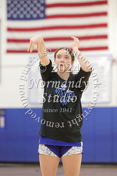 WHS_bb-g_36
