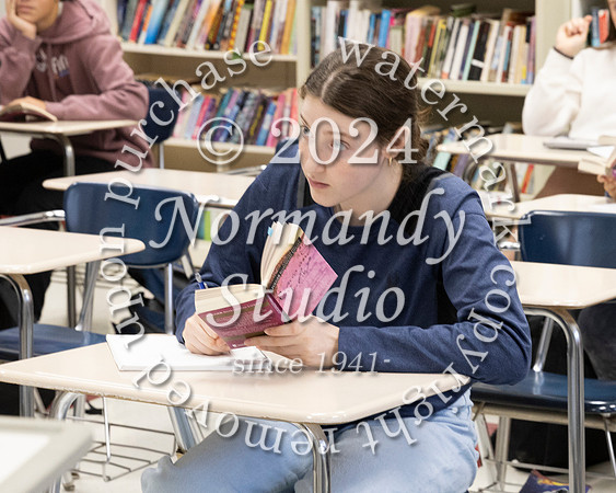 BER_slc_309