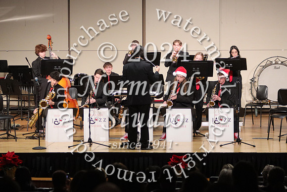 BER_orchestra_49