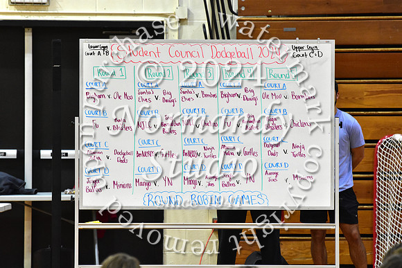 BER_dodgeball_50