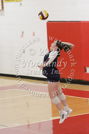 MSM_vb-g_46