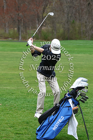 WHS_go-b_20