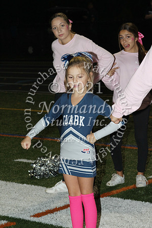 ALJ_51_pink-out