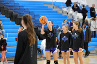 WHS_bb-g_05