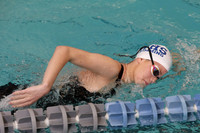 WHS_sw-g_17