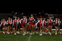 MNP_dt_10
