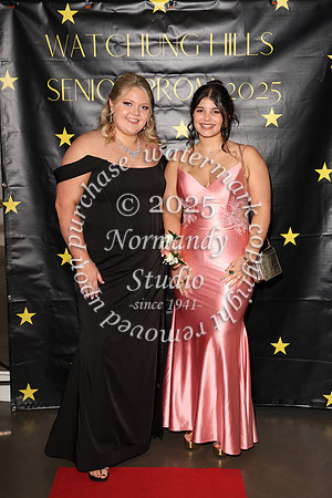 WTG_sr_prom_056