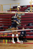 MSM_vb-g_14