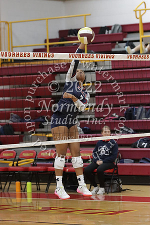 MSM_vb-g_14