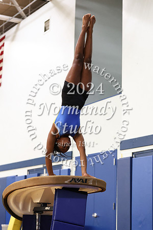 CHS_gy_03