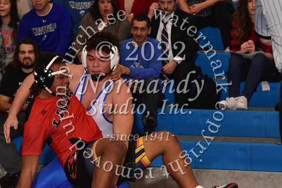 WHS_wr_28