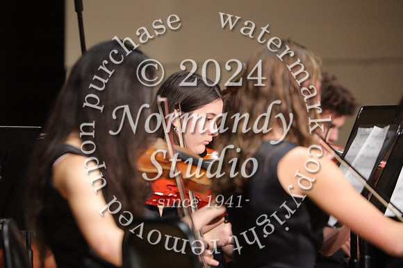 BER_orchestra_23