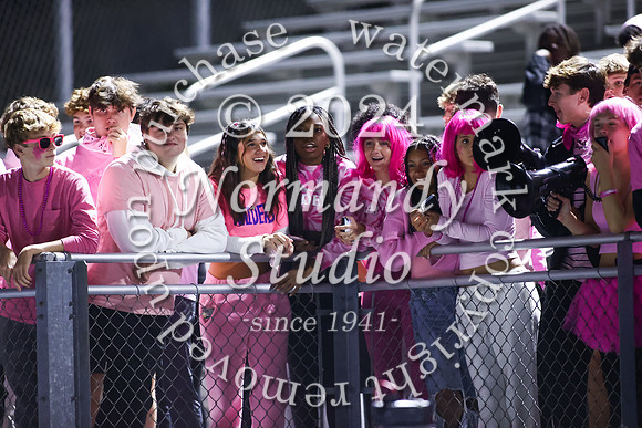 SPF_fans_19
