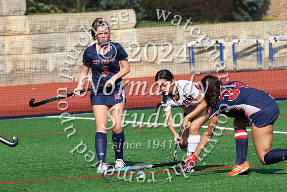 SVL_fh_31